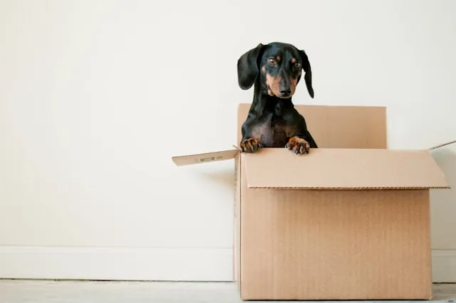 Packaging Services